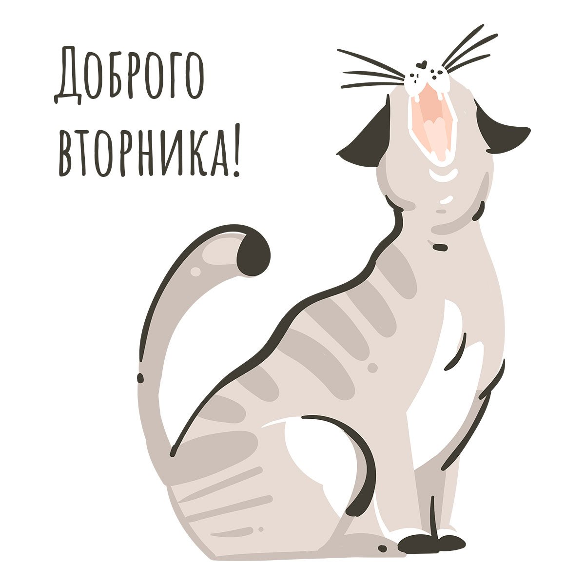 Поздравления со вторником