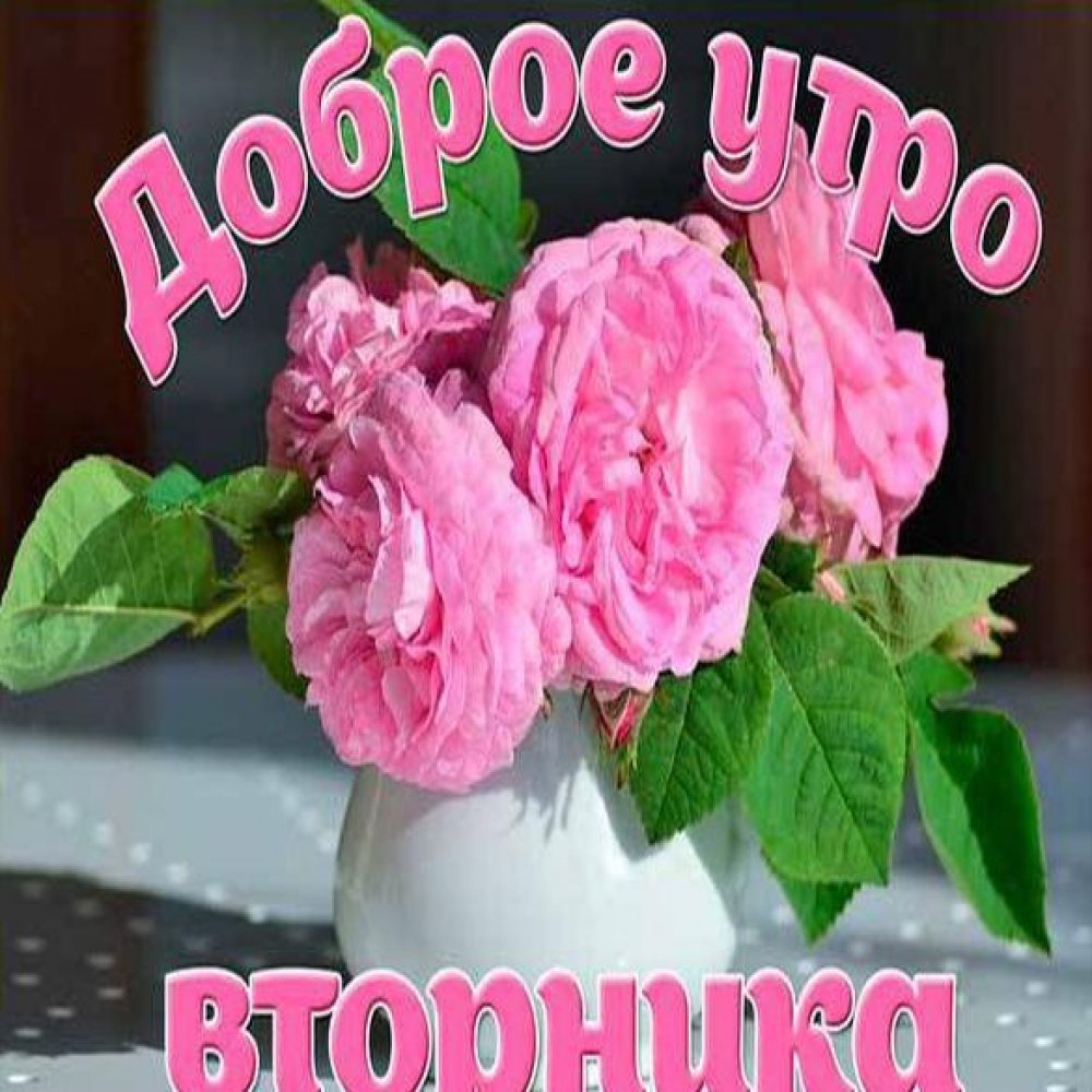 Доброе утро вторника