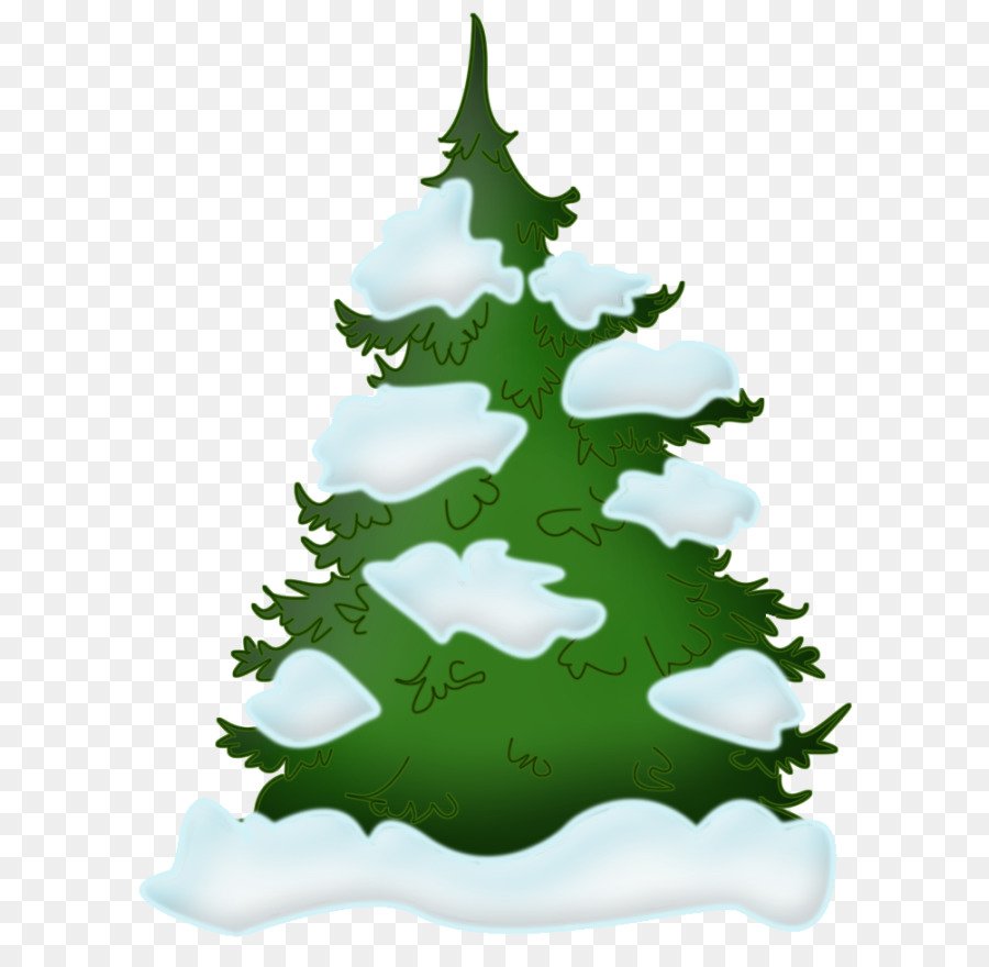 Ель в снегу без фона