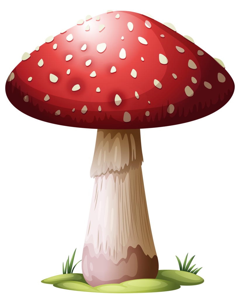 Гриб мухомор рисунок для детей на прозрачном фоне