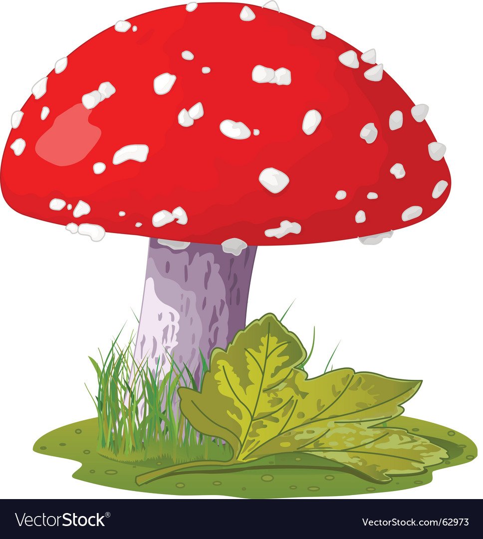 Наголовник гриб мухомор