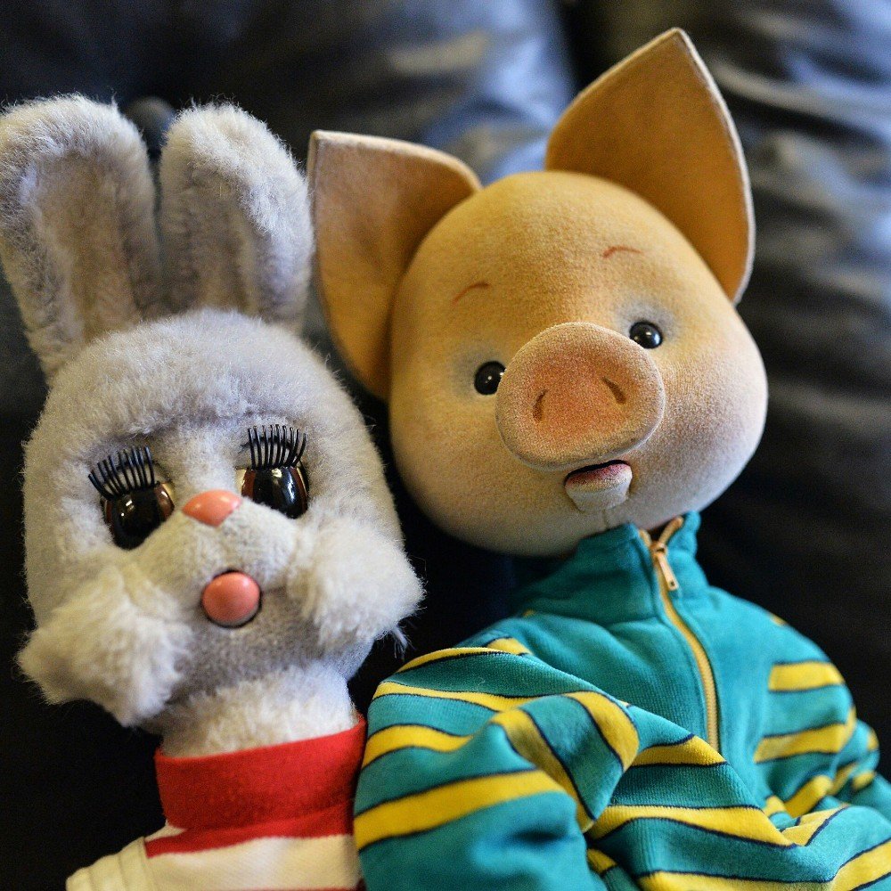 Филя Степашка Хрюша и Каркуша