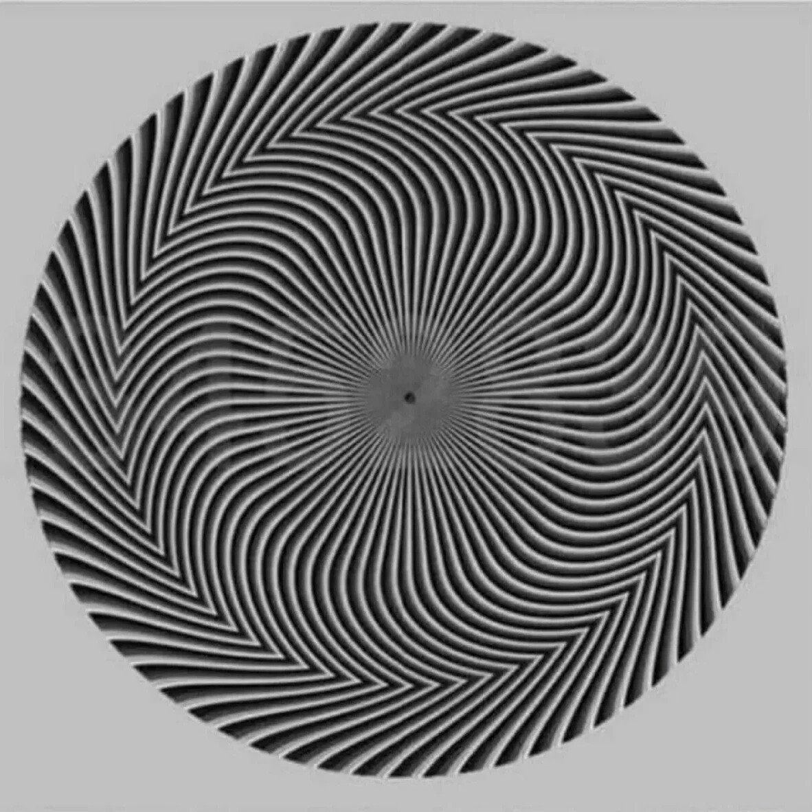 Обман зрения цифры