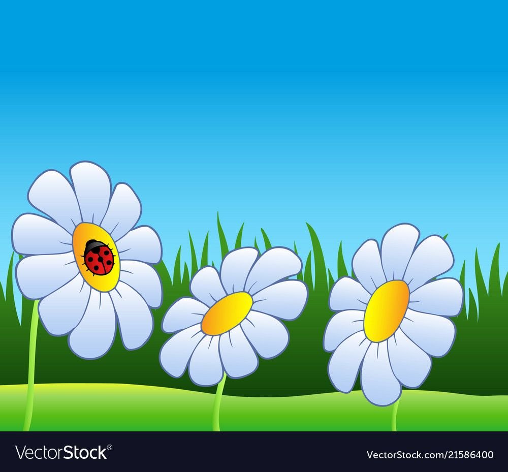 Ромашка на Поляне мультяшная