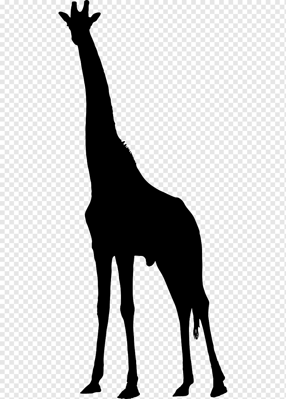 Обои iphone сафари Жираф вектор