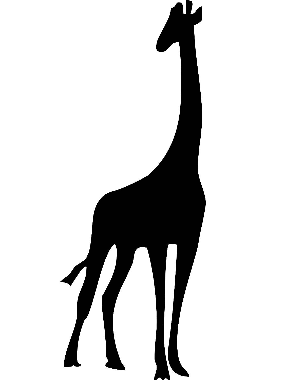 Силует Жираф ест листья