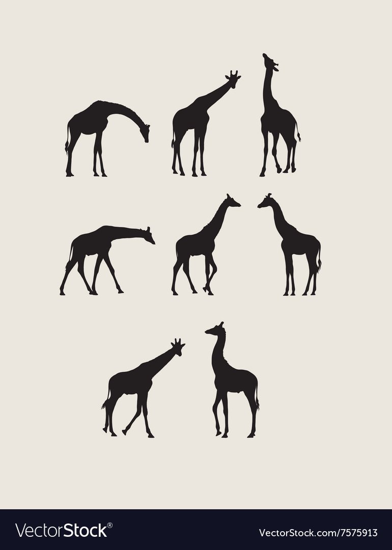 Силуэт слона и жирафа