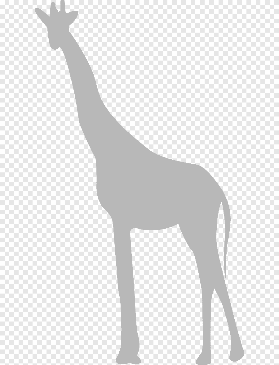 Силуэты Жирафов