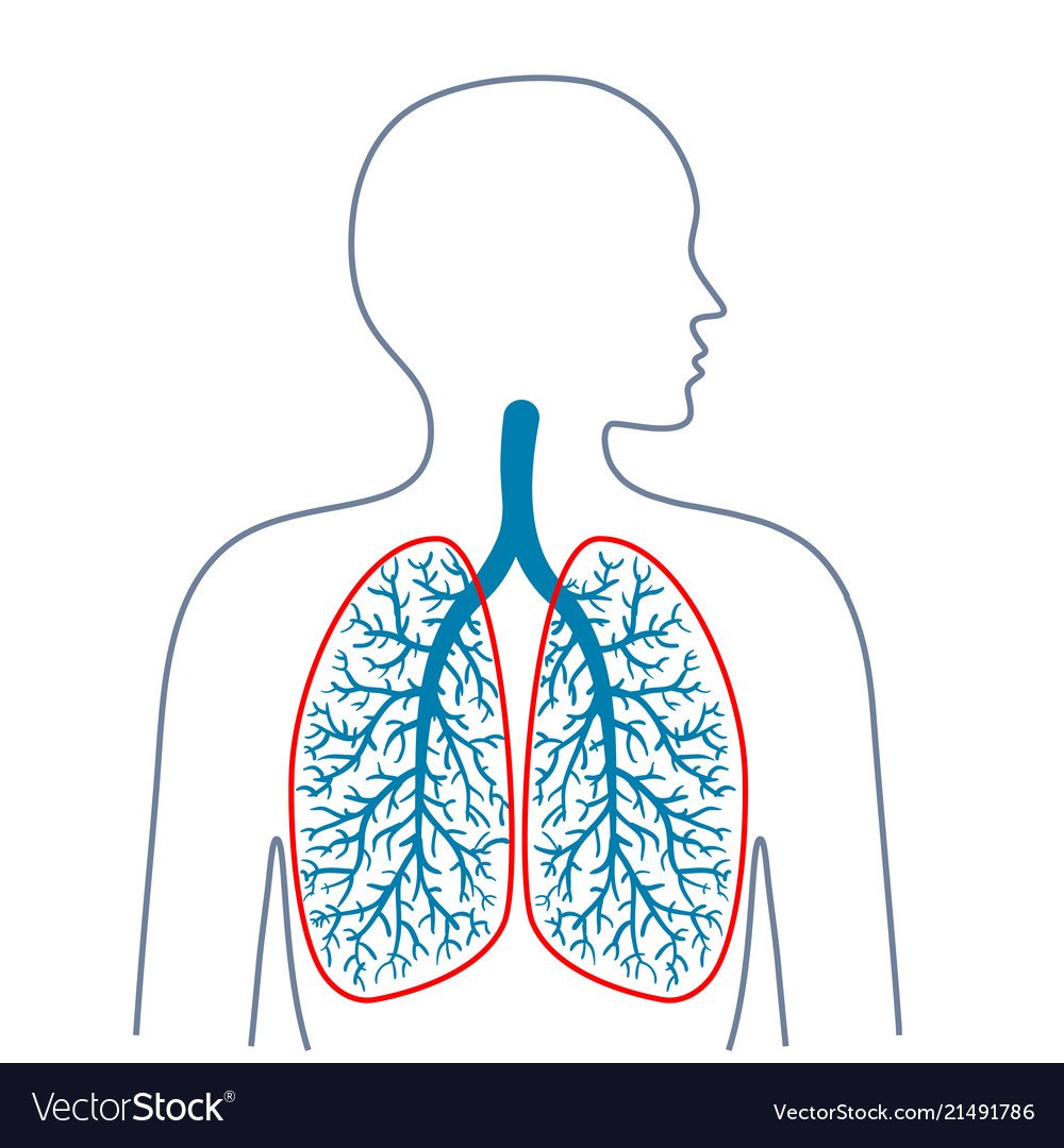 Дыхательная гимнастика мыльные пузыри