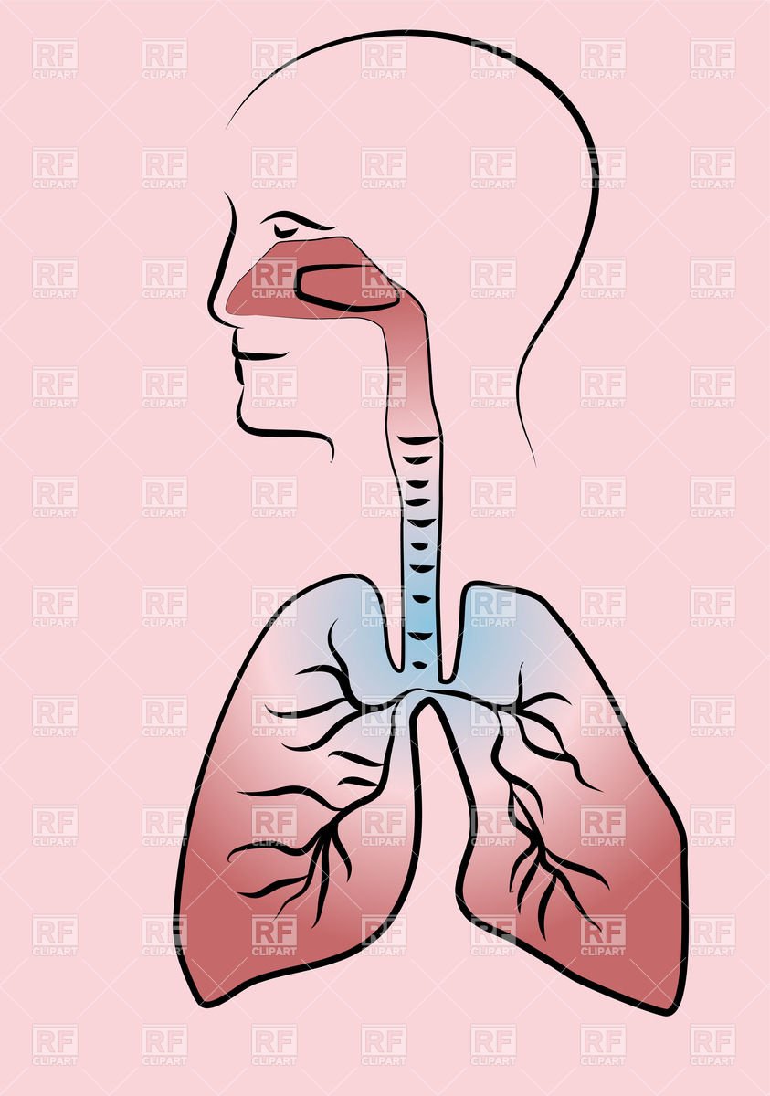 Дыхание мультяшные