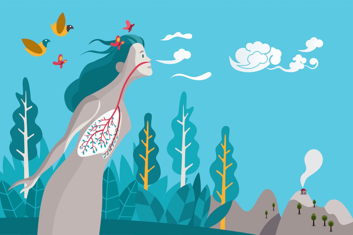 Чистые легкие