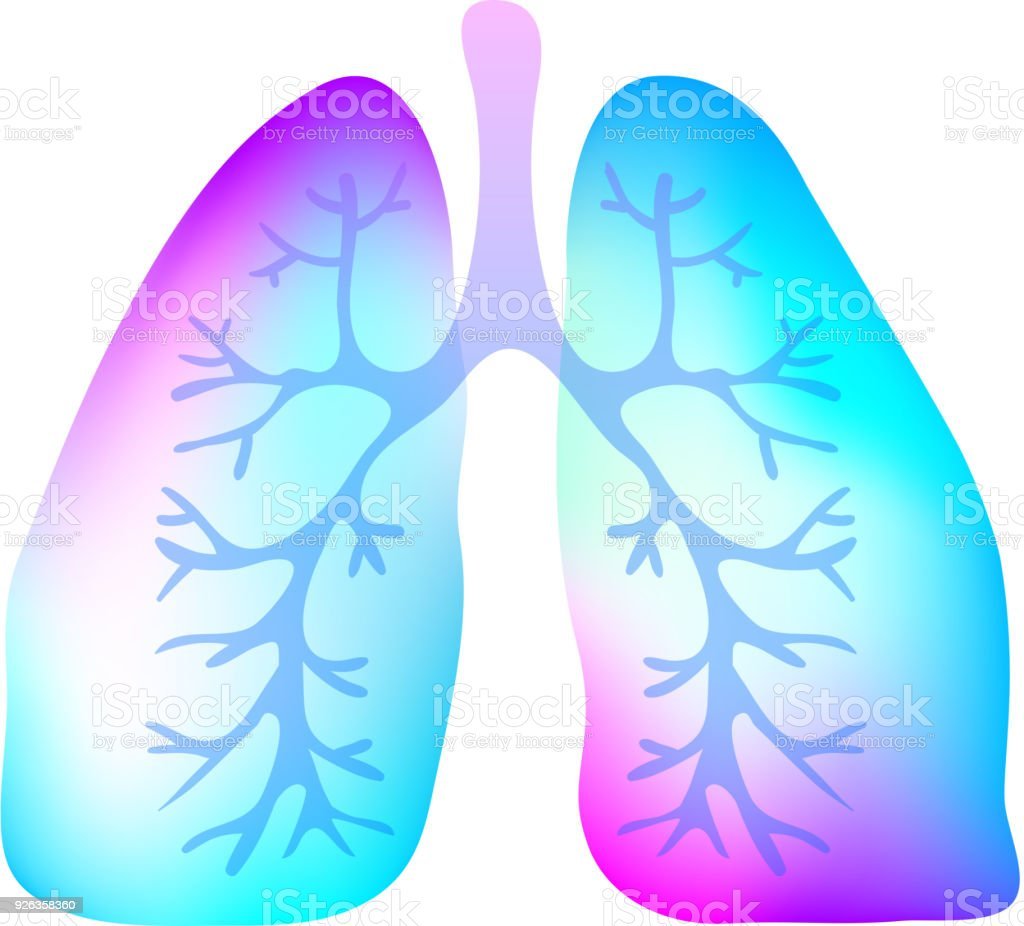 Дыхание легкие