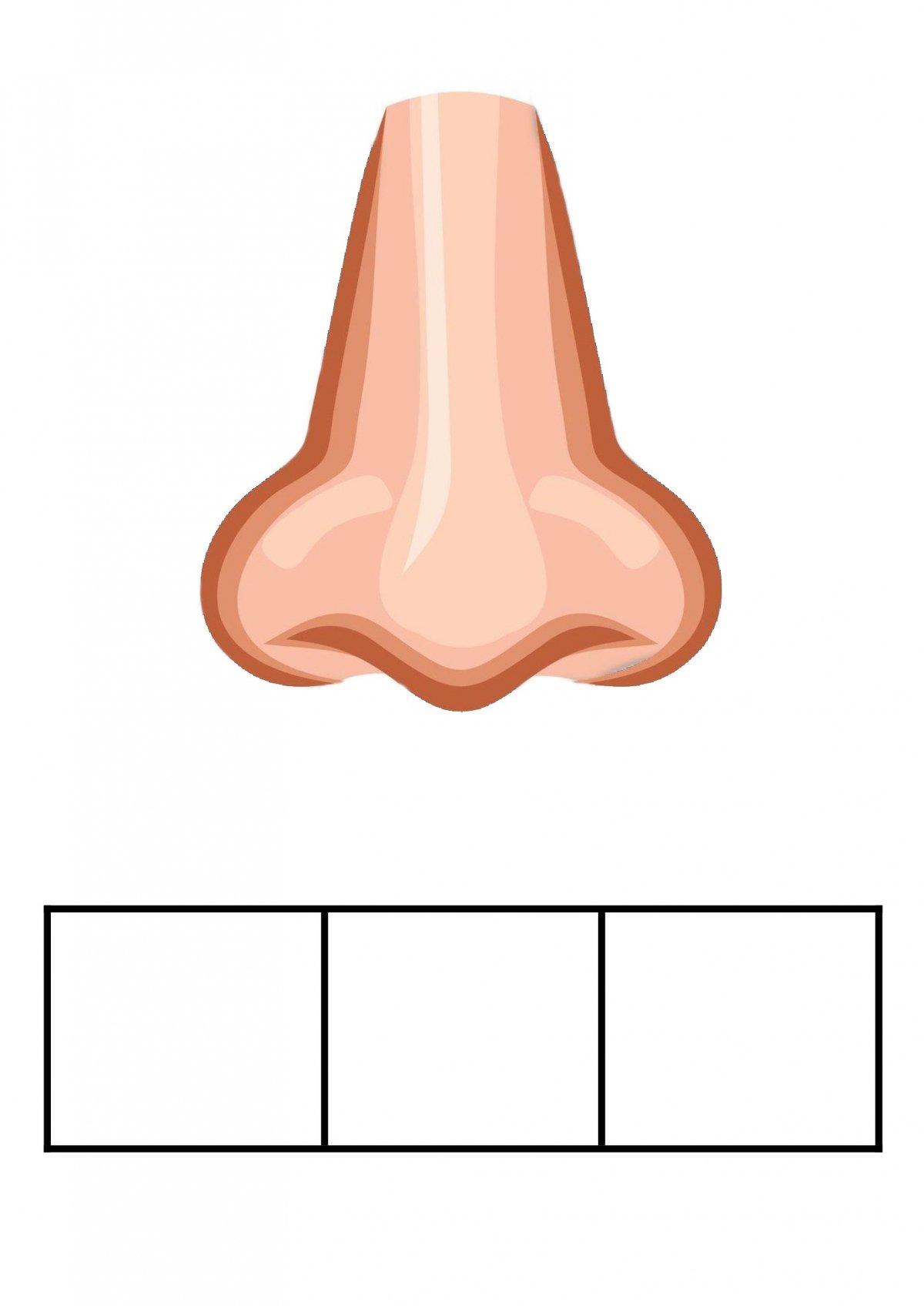 Нос туториал