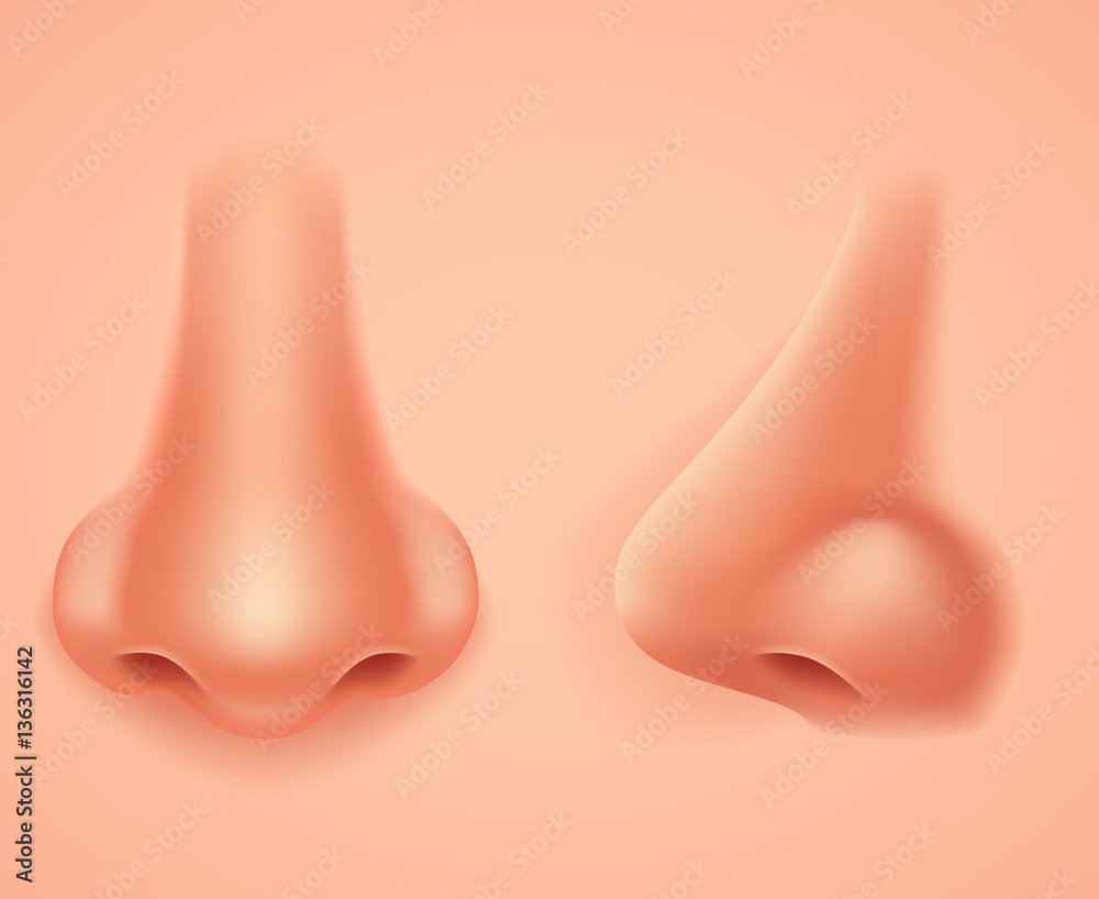 Длинный нос у мужчин