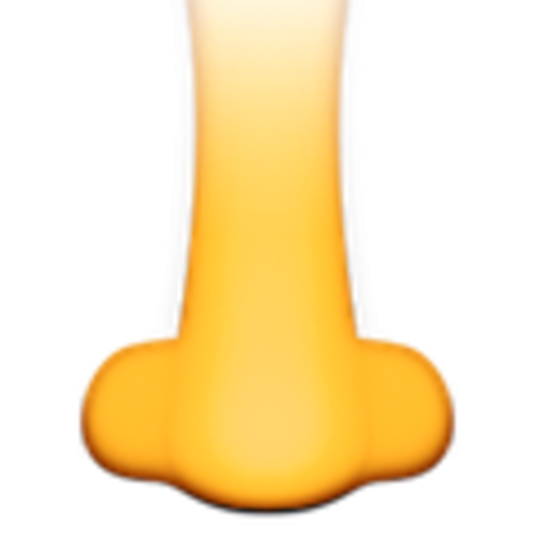 Носы разных животных