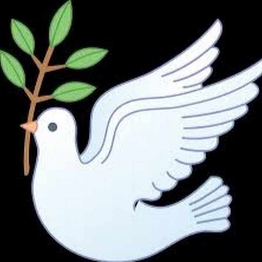 Голубь мира раскраска