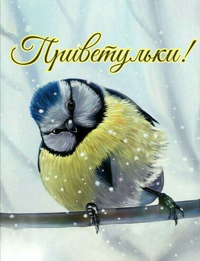 Доброе утро зимнее прикольное