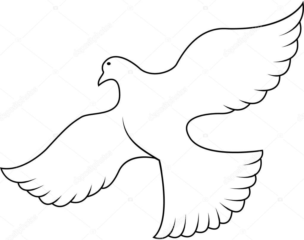 Голубь очертание