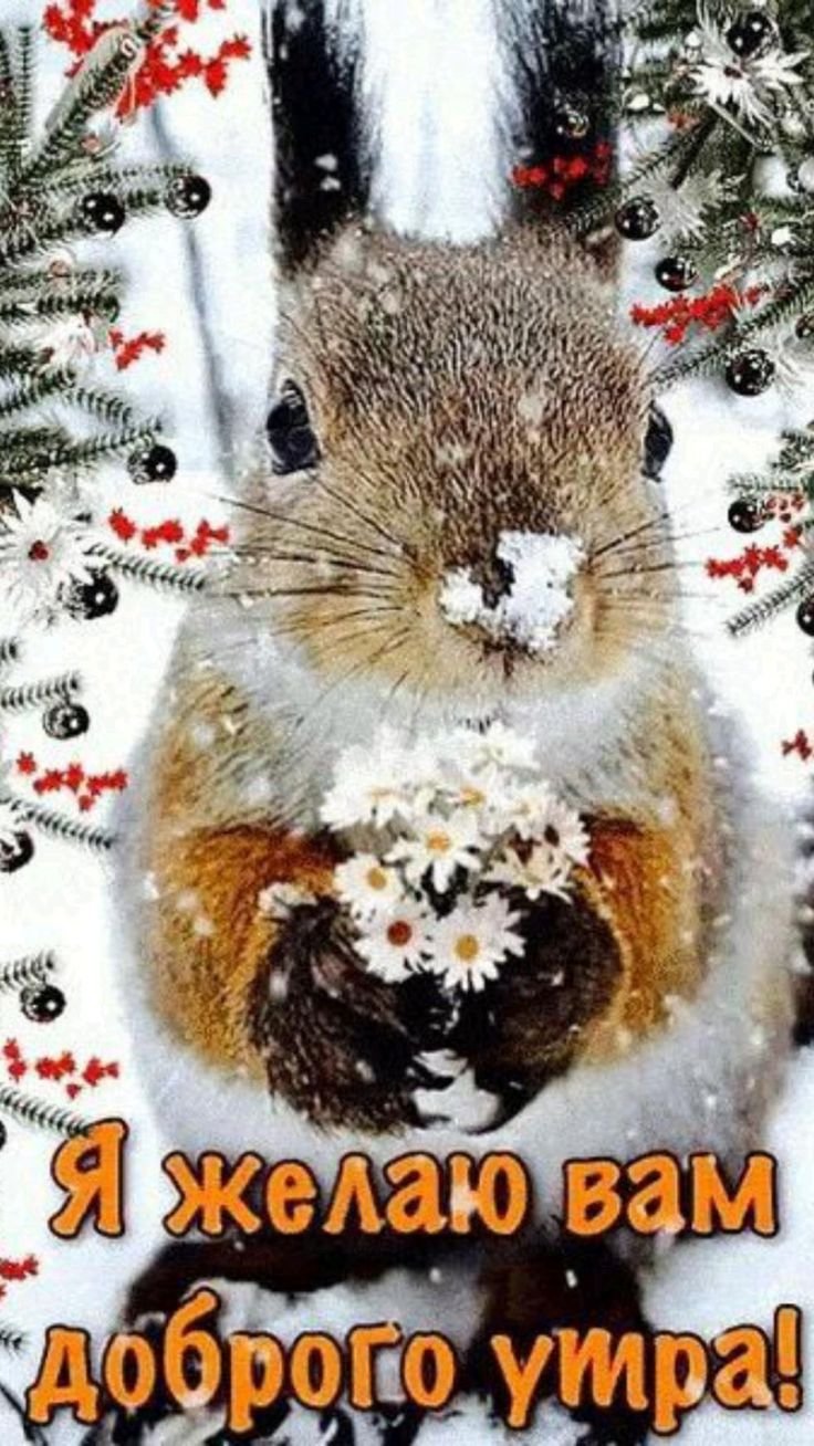 Пожелания с добрым зимним утром