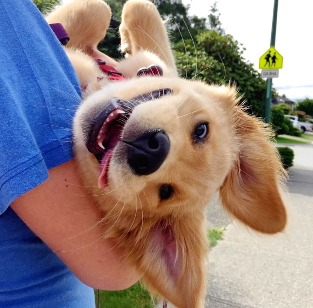 Счастье вокруг