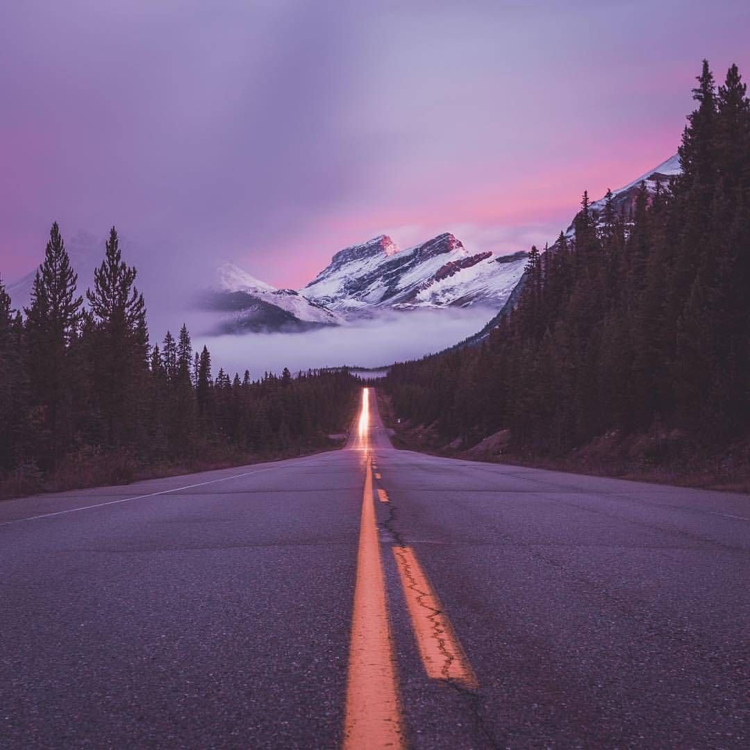 Раздвоенная дорога человек