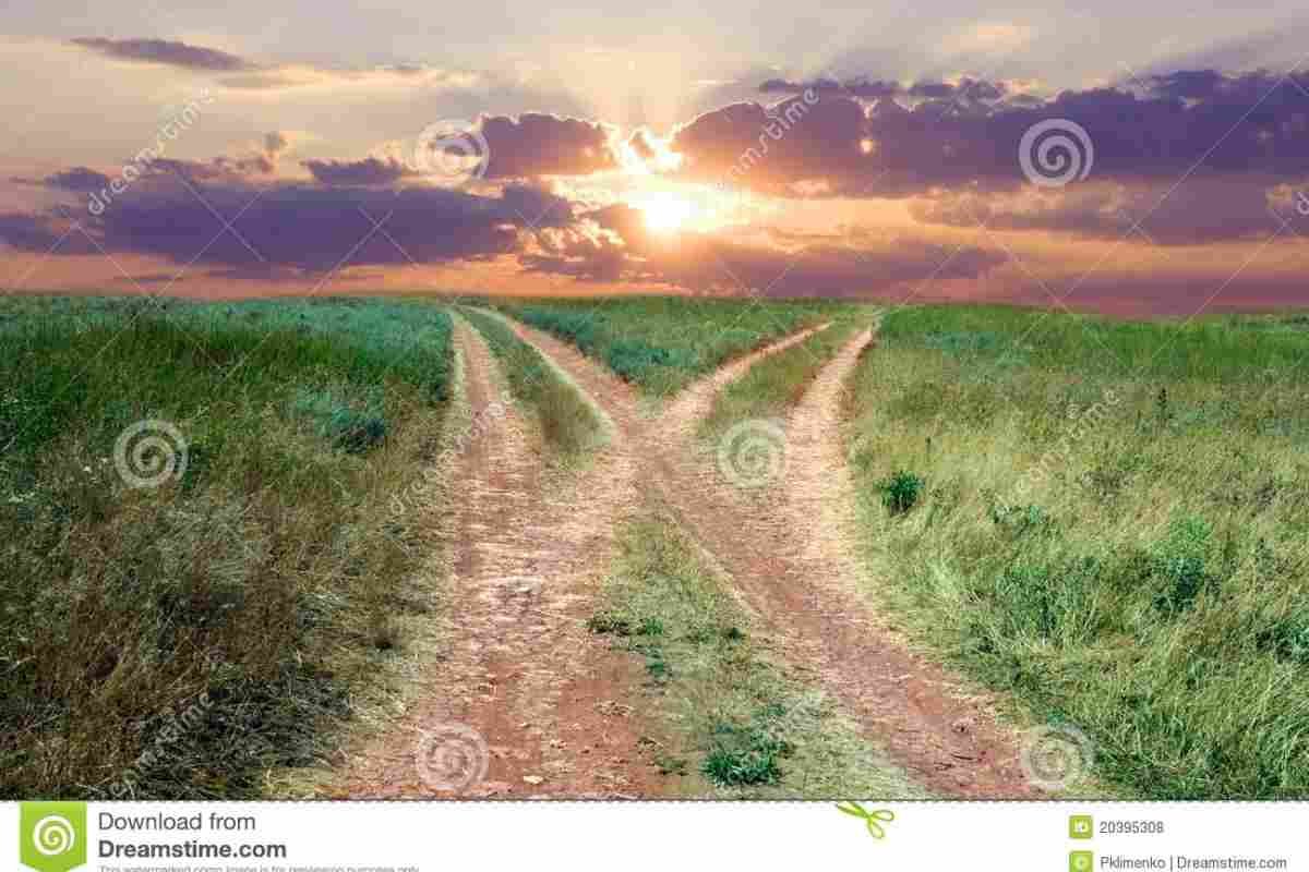 Лошадь на дороге