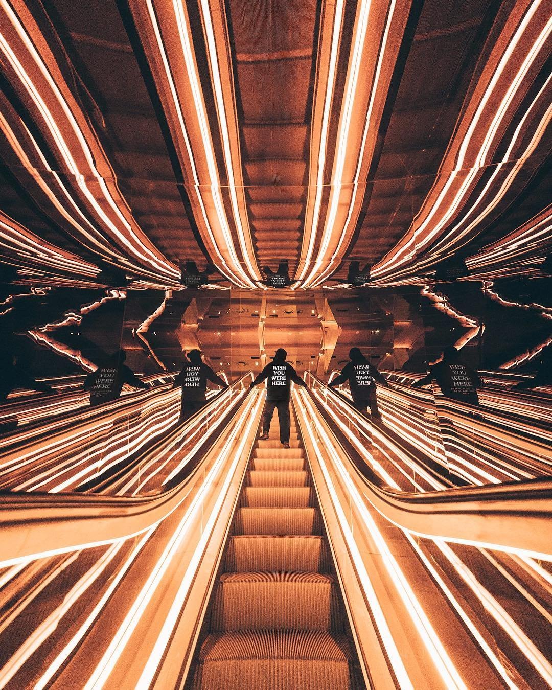 Сова стилизация