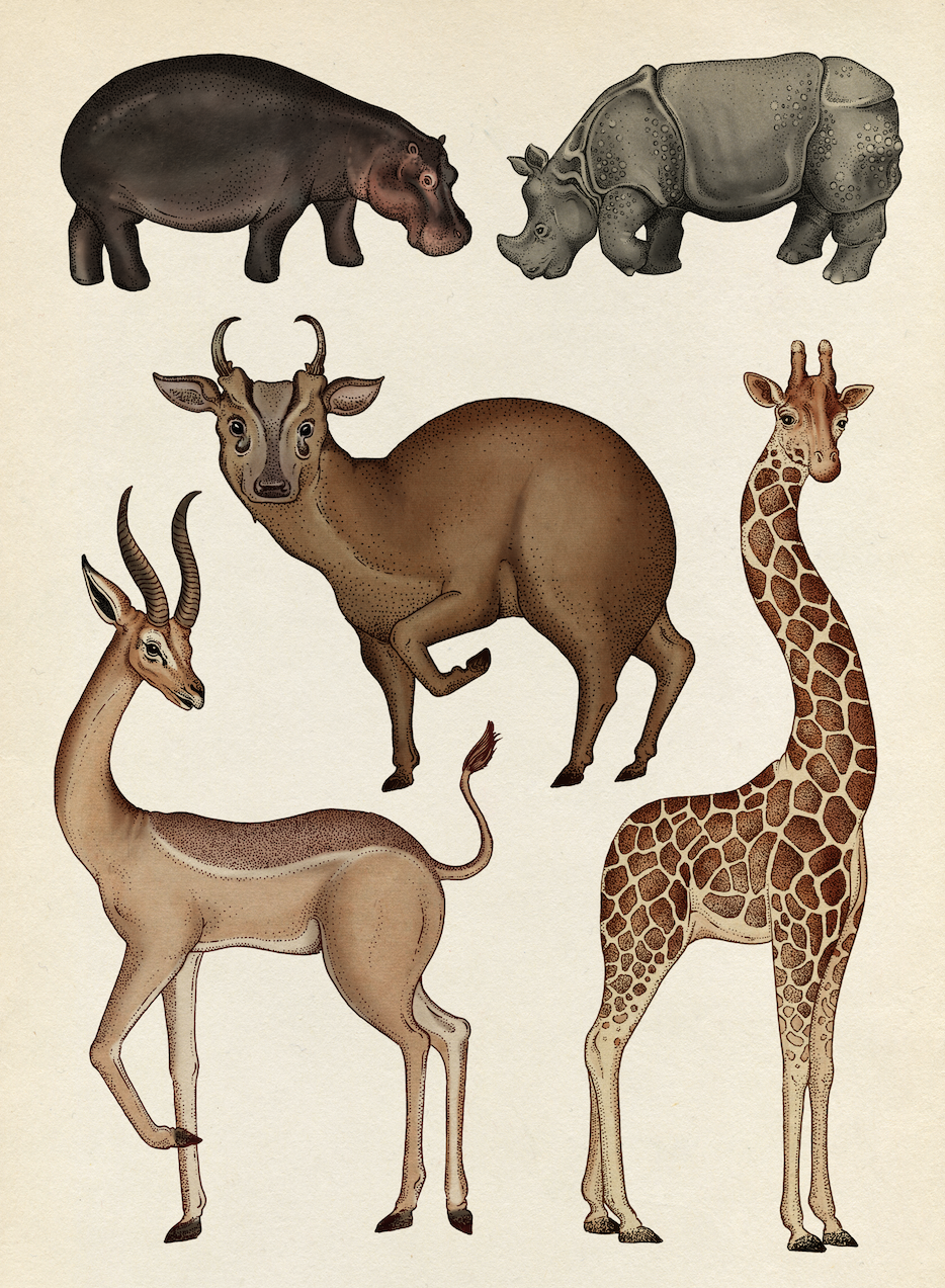 Млекопитающие животные