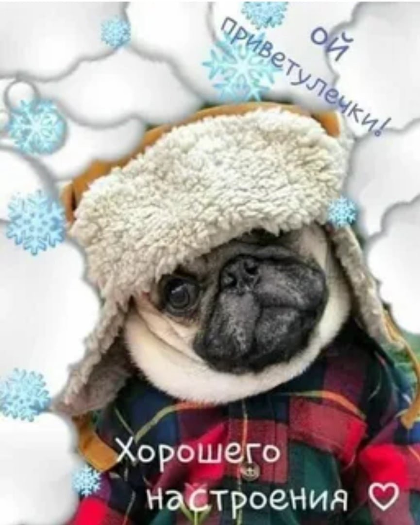 Доброе утро зима