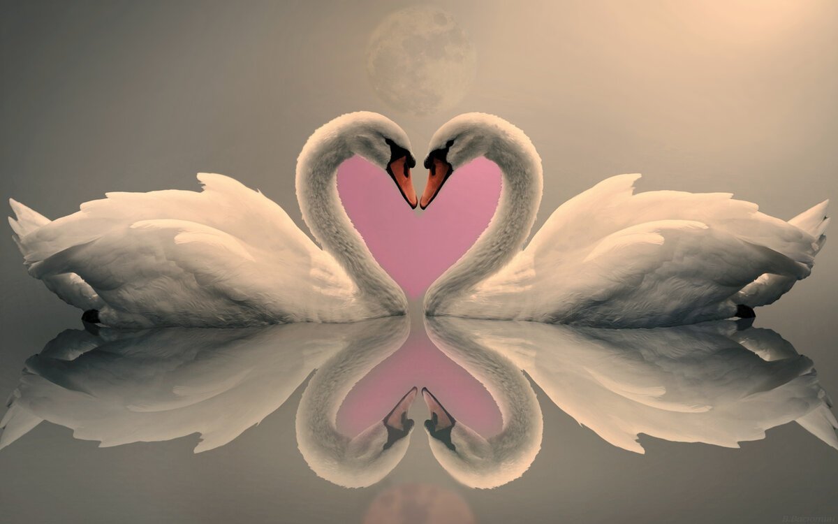 Символ любви и верности