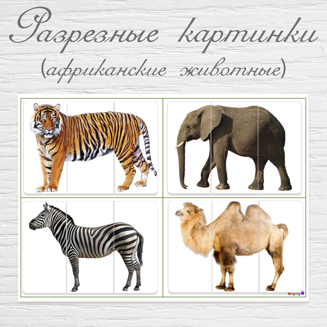 Тематический словарь Дикие животные жарких стран