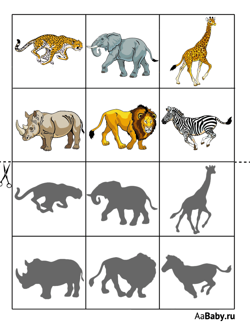 Животные жарких стран задания для дошкольников