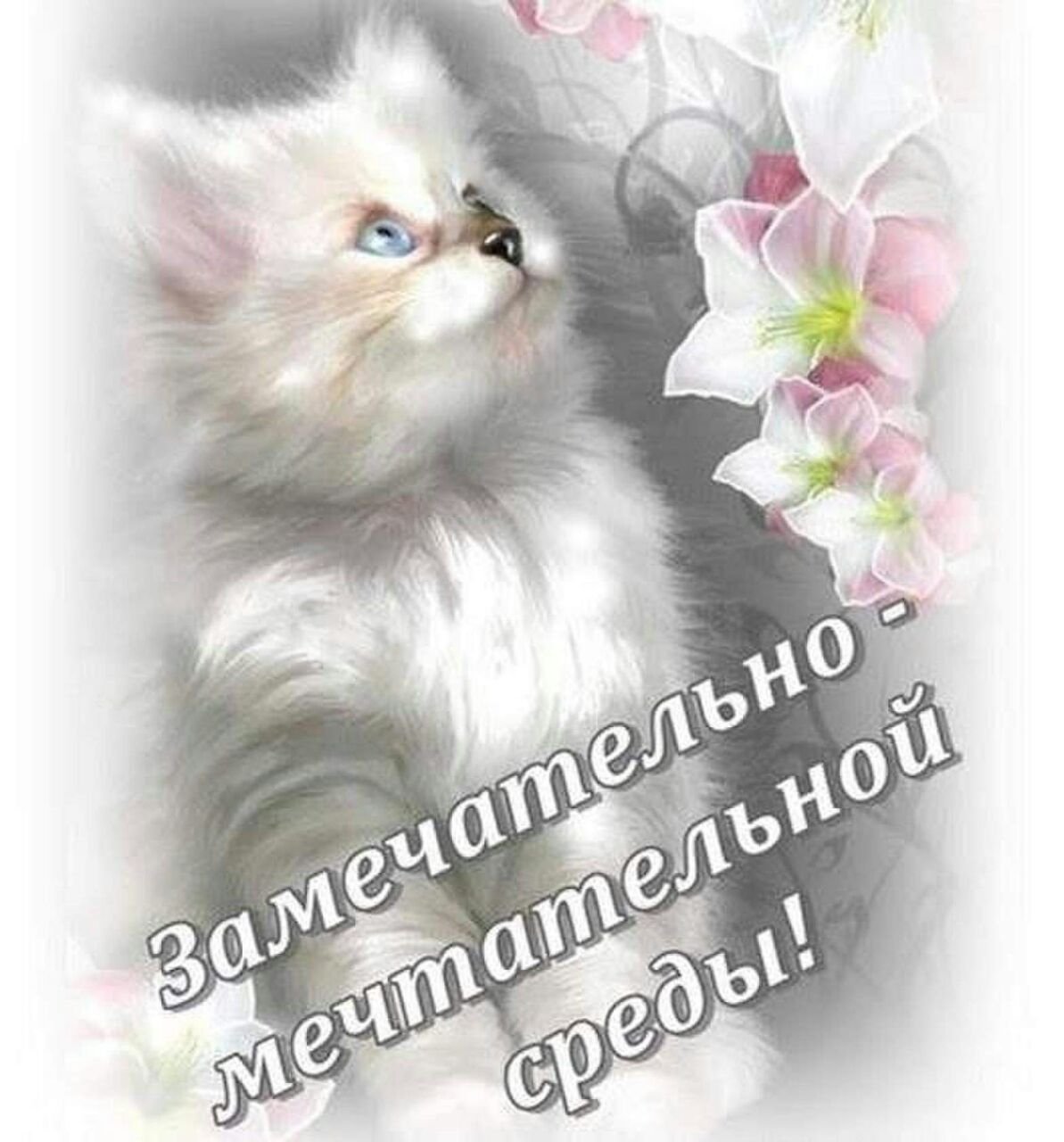 Летнего утра среды