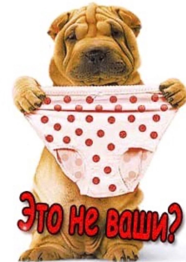 Прикольные анимации на телефон