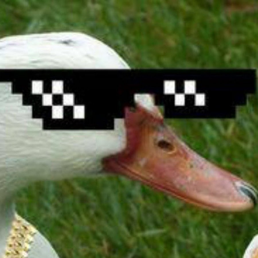 Пафосный Гусь