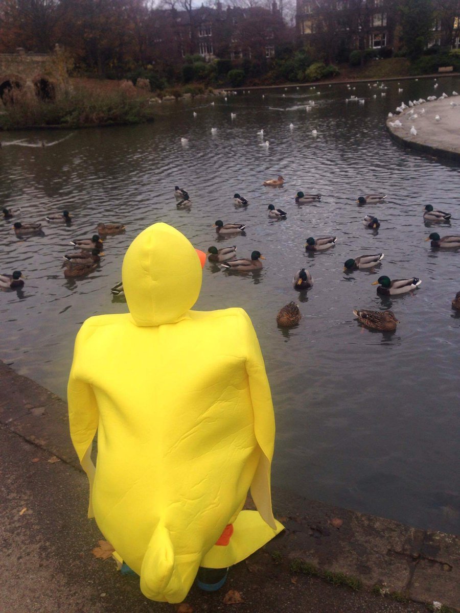 Человек утка