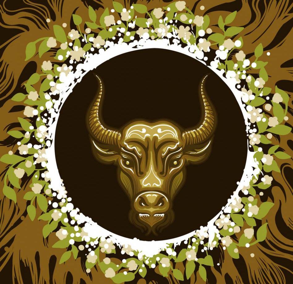 Бык в круге вектор