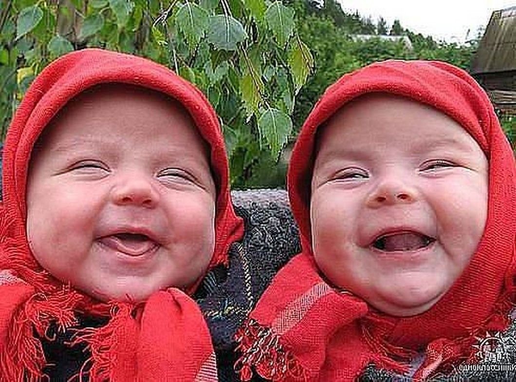 Частушка две старушки без зубов толковали про любовь