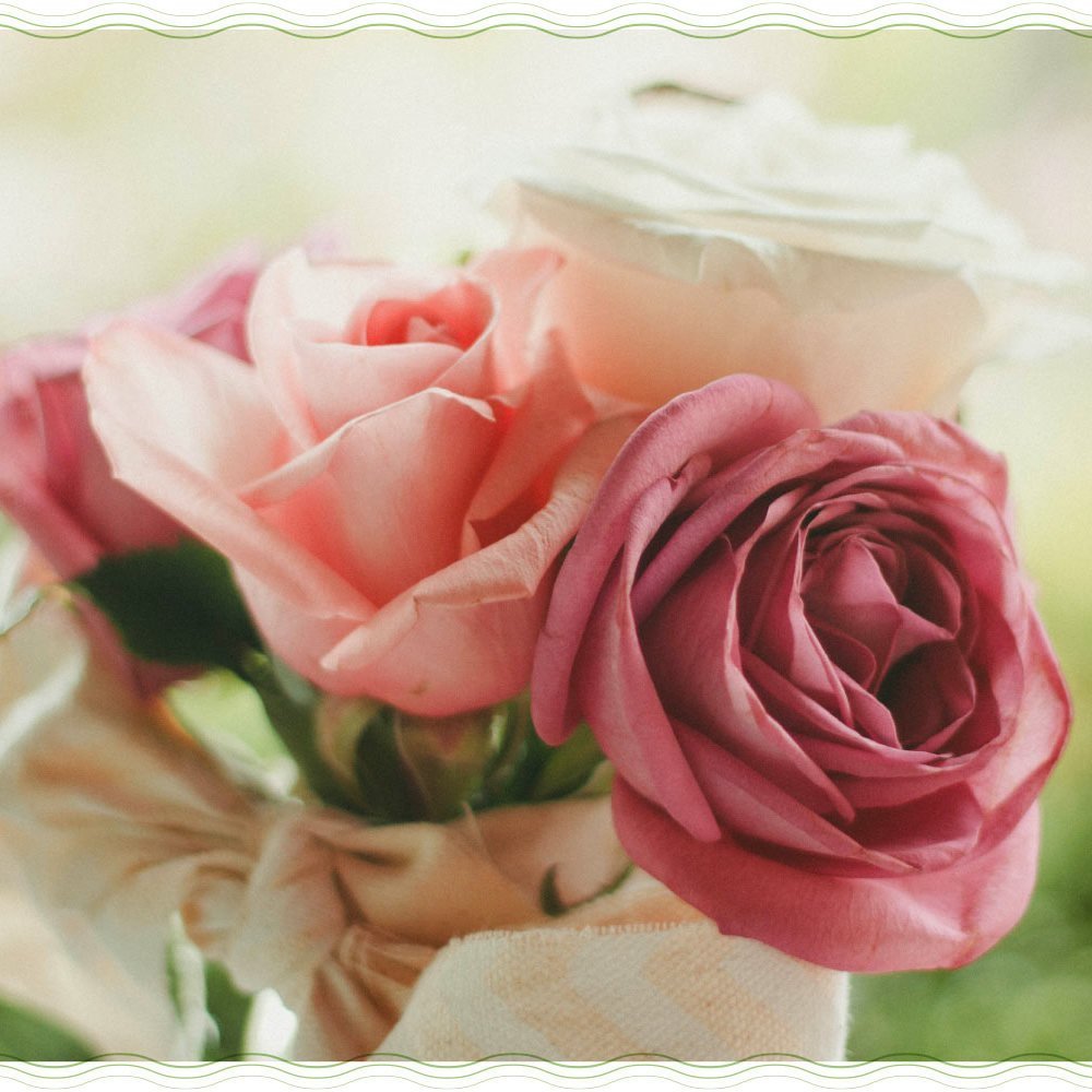 Нежные цветы фото