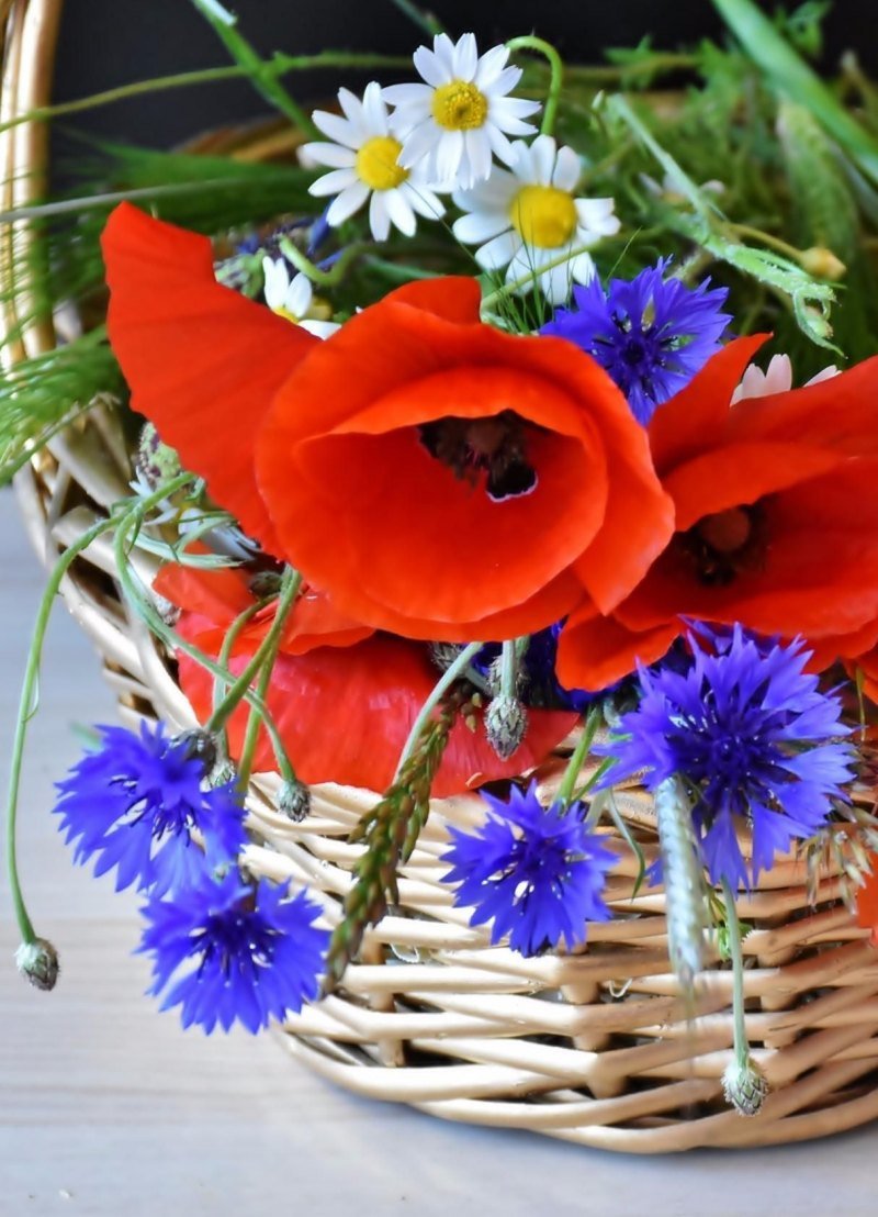 Цветы для настроения букет