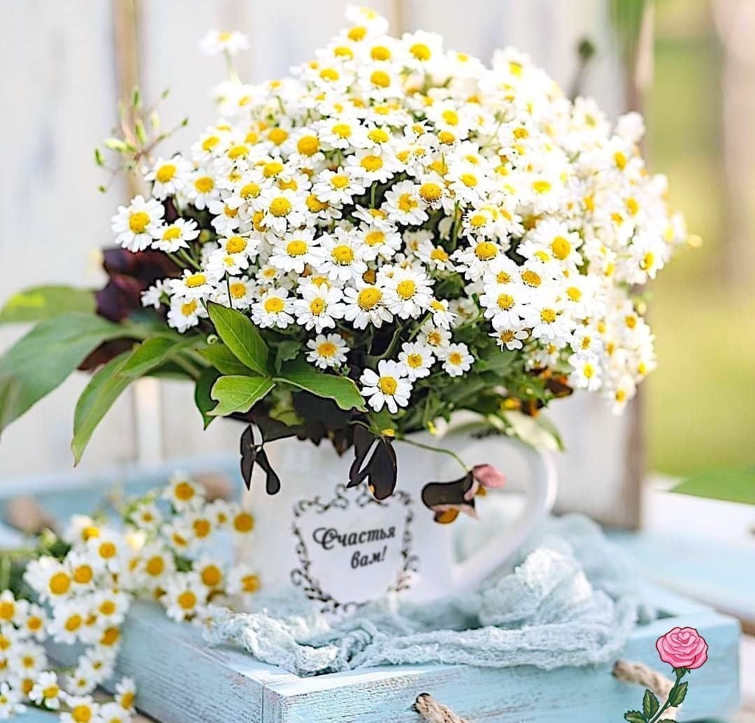 Букет ромашек
