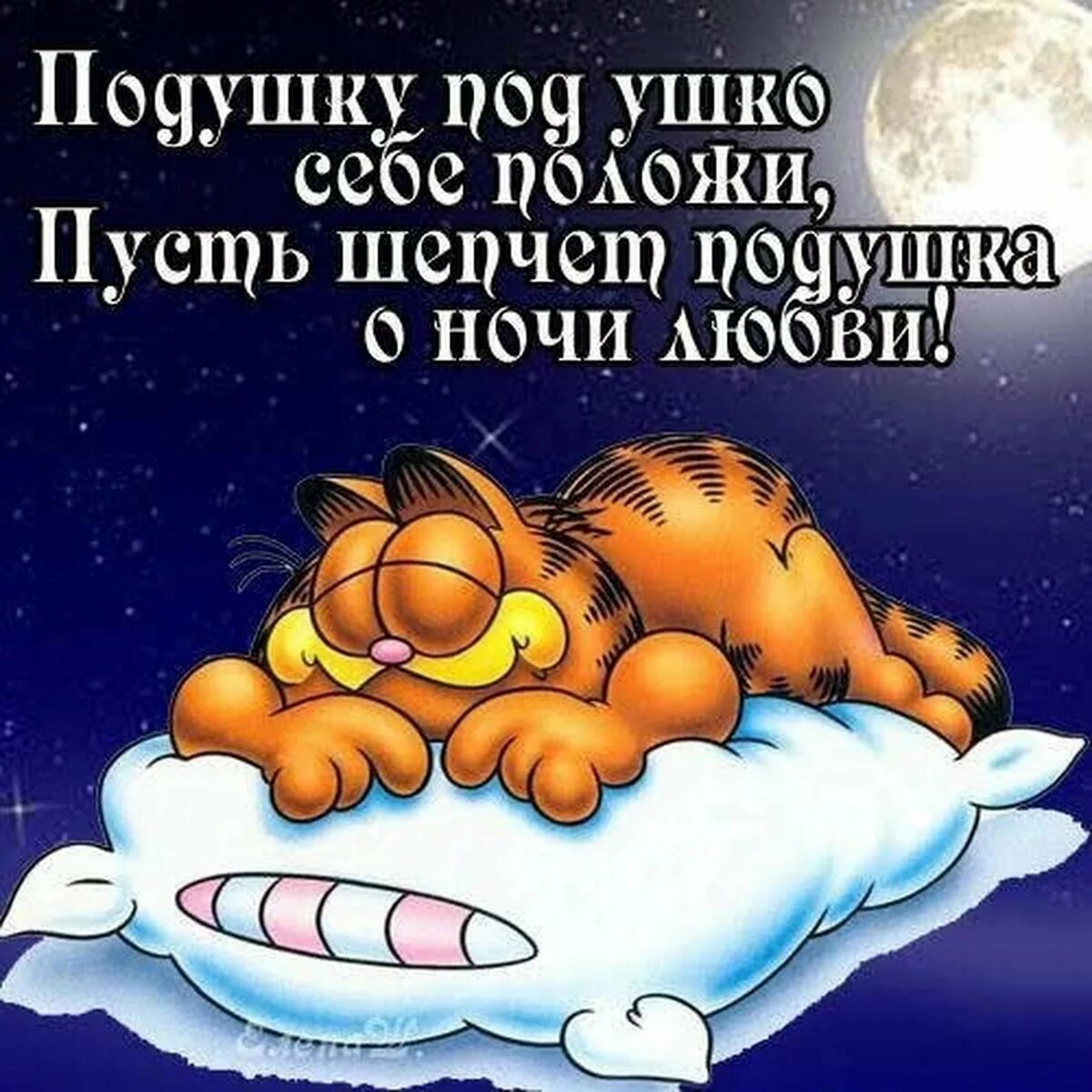 Спокойной ночи прикольные