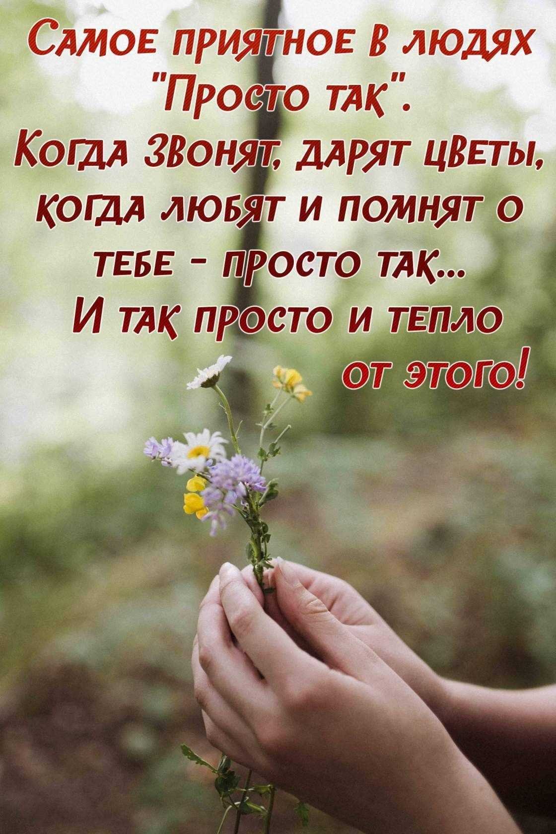 Доброе утро цитаты