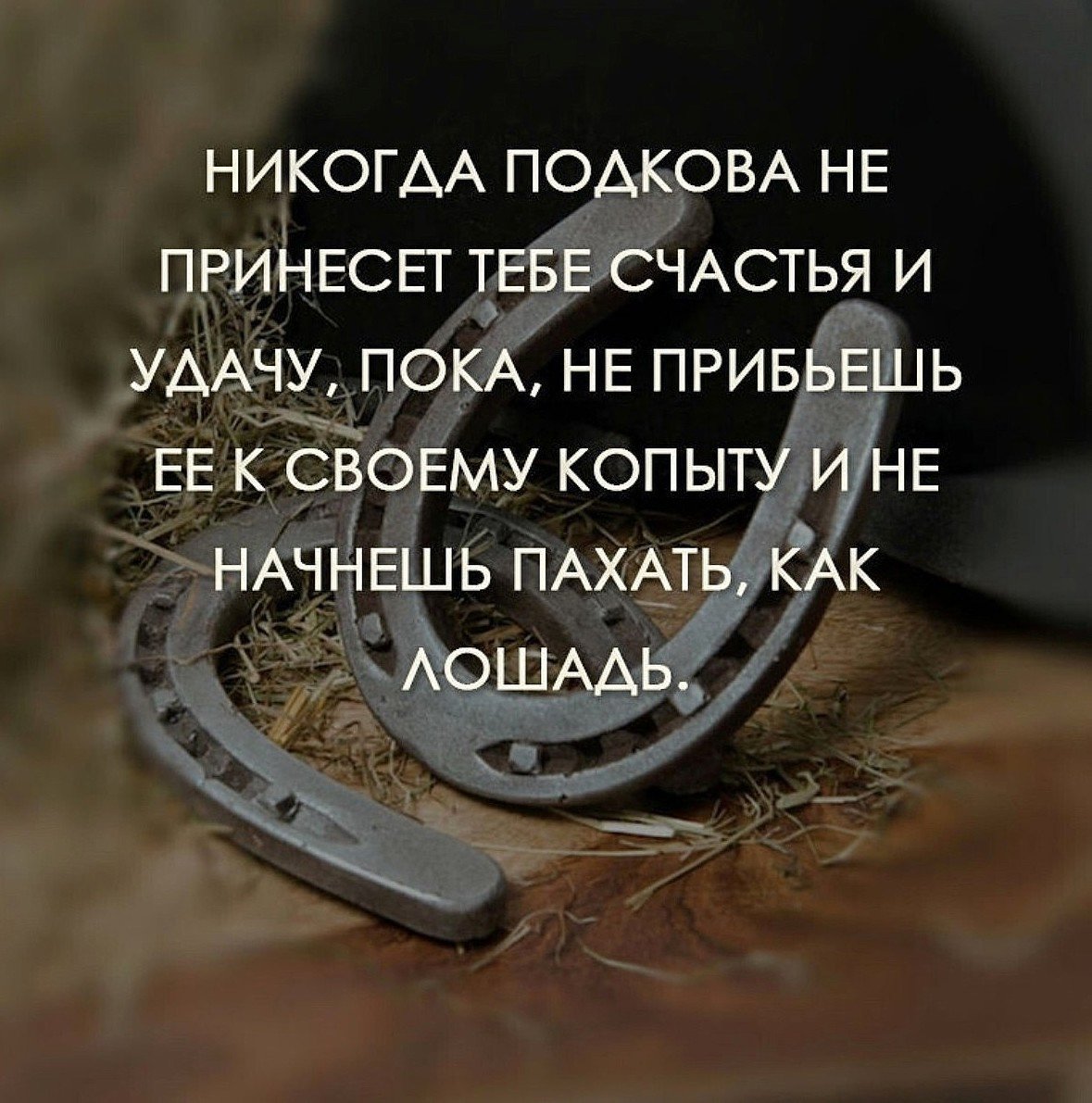 Рог изобилия талисман