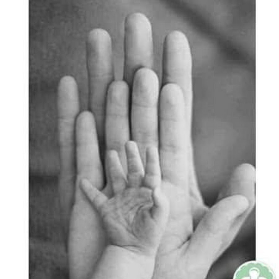 Руки мама папа и малыш