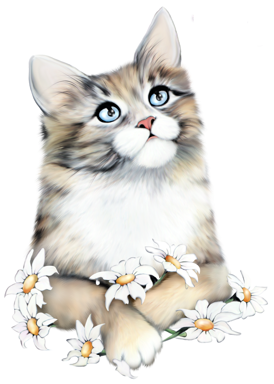 Кошка на прозрачном фоне