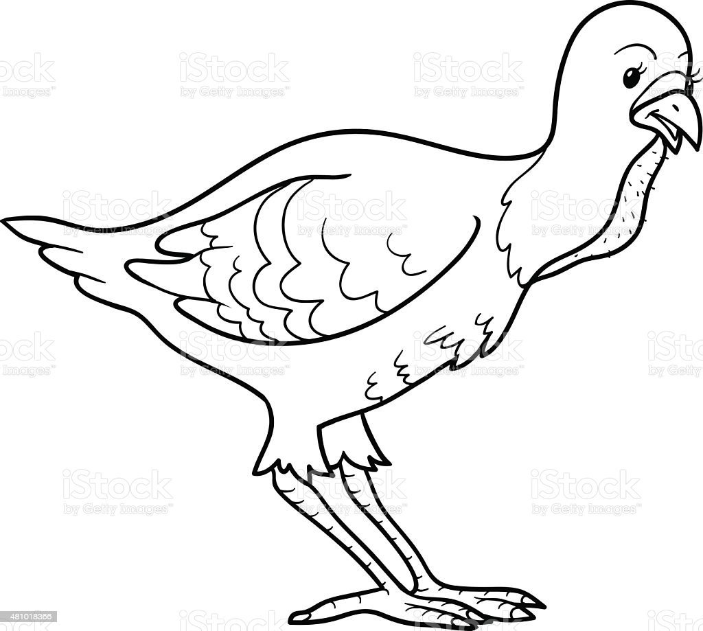 Петух раскраска