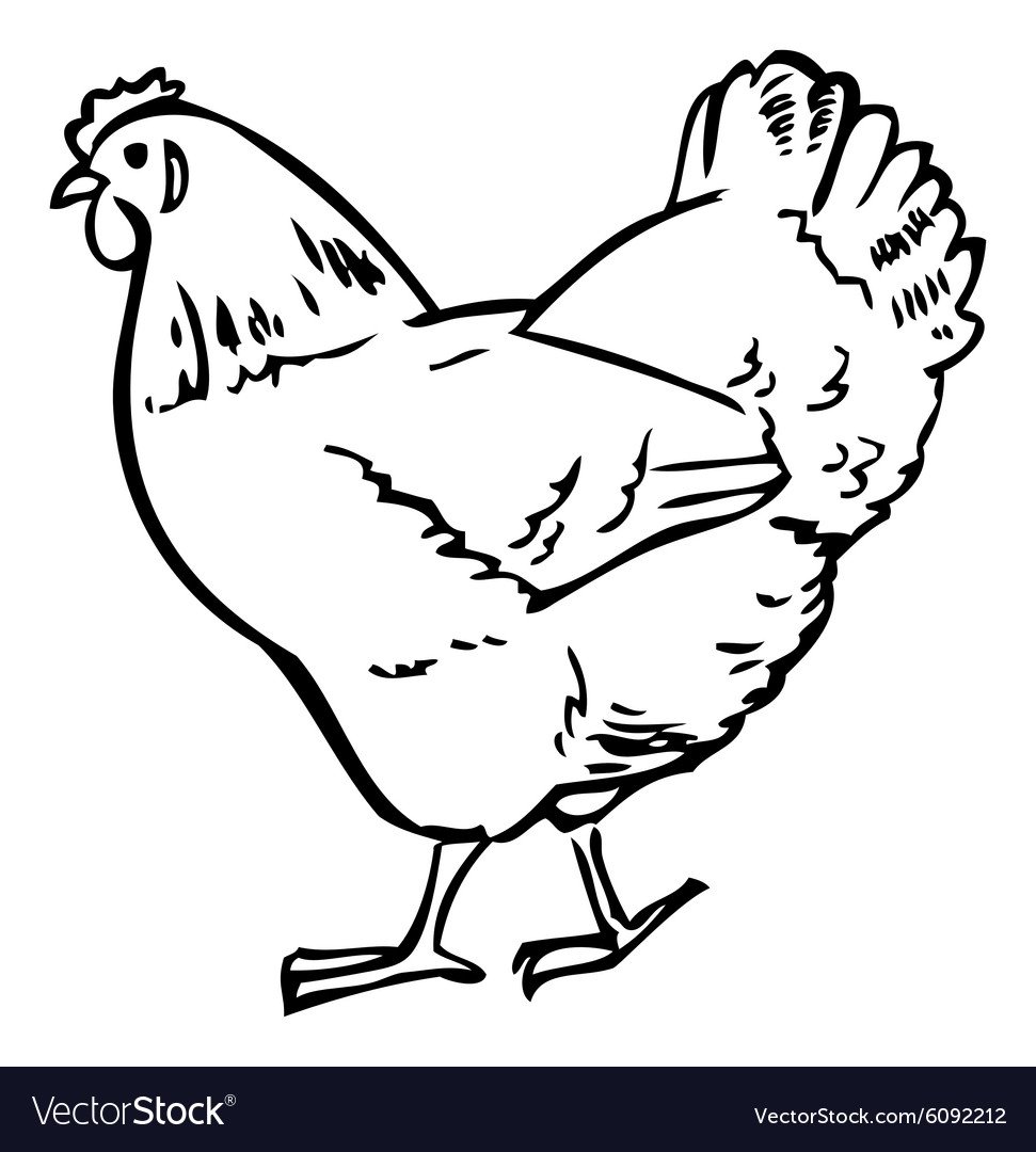 Курочка Ряба раскраска для малышей