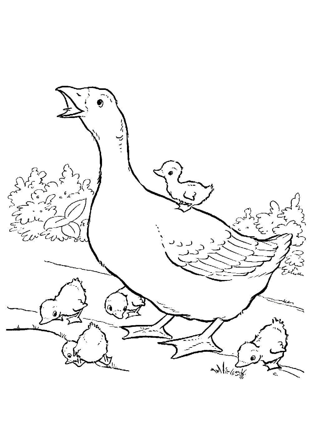 Курица легкий рисунок