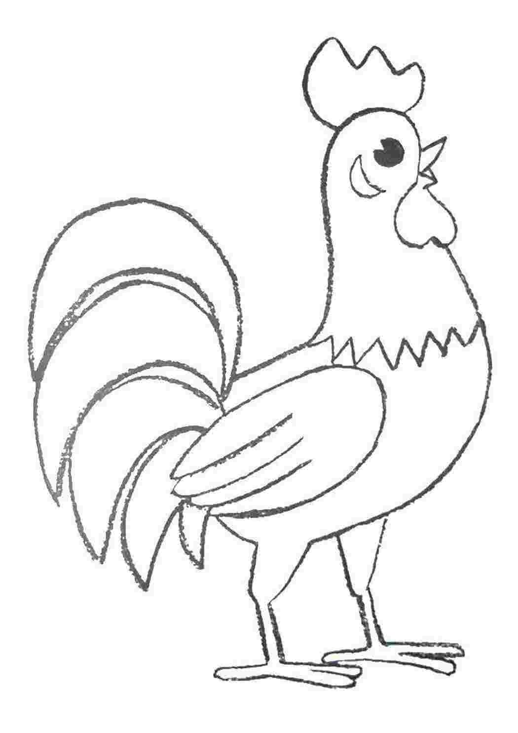 Домашние птицы. Раскраска